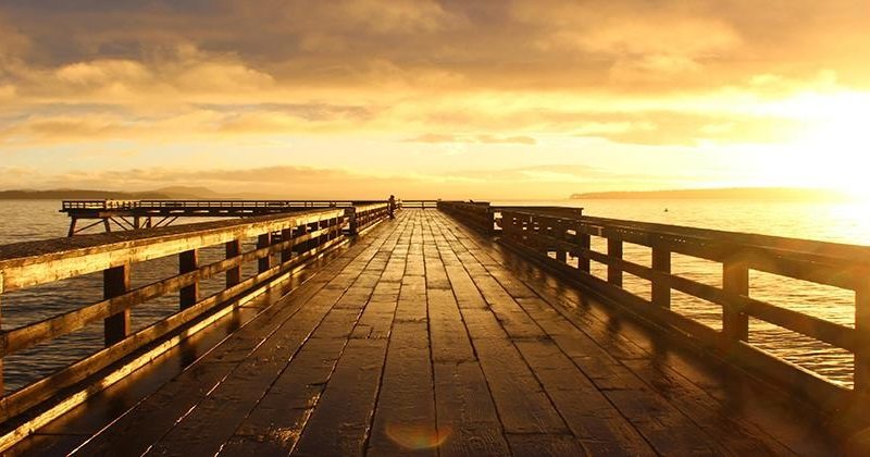 The Power of Morning Routines: Start Your Day with a Positive Life